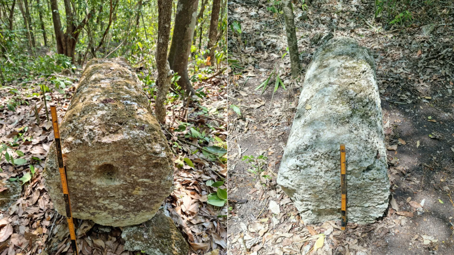 Ancient Mayan city discovered in Mexican jungle