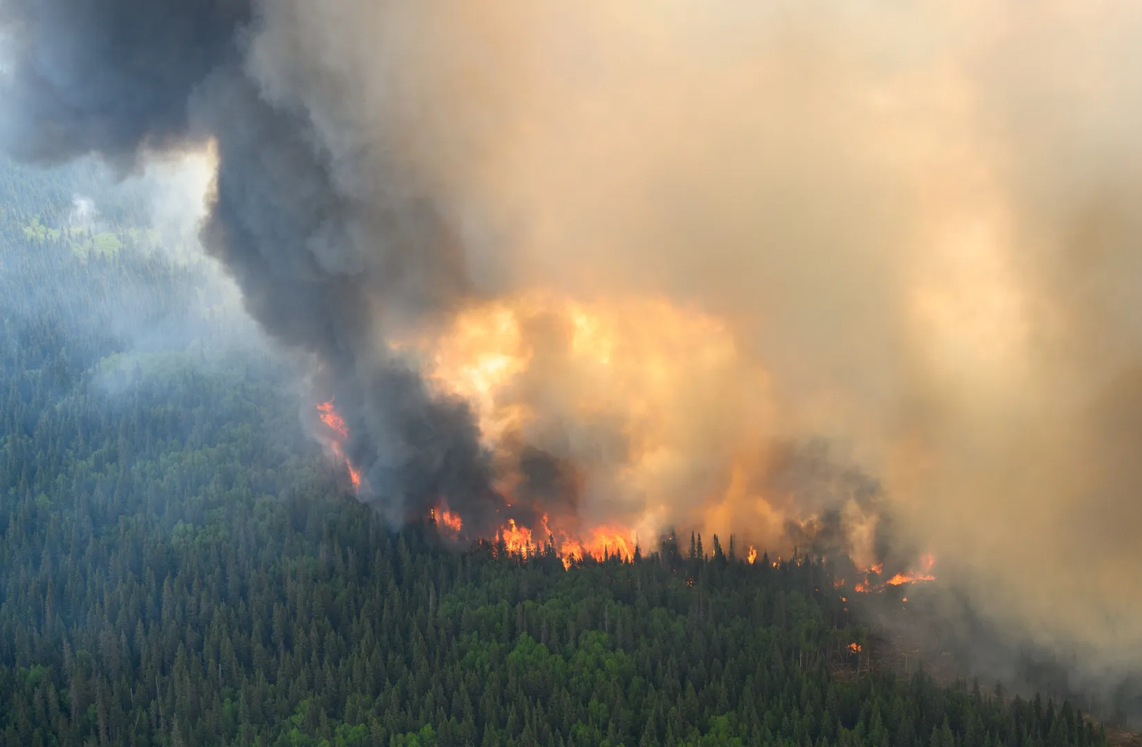 Canada wildfires: Montreal has worst air of any major city globally