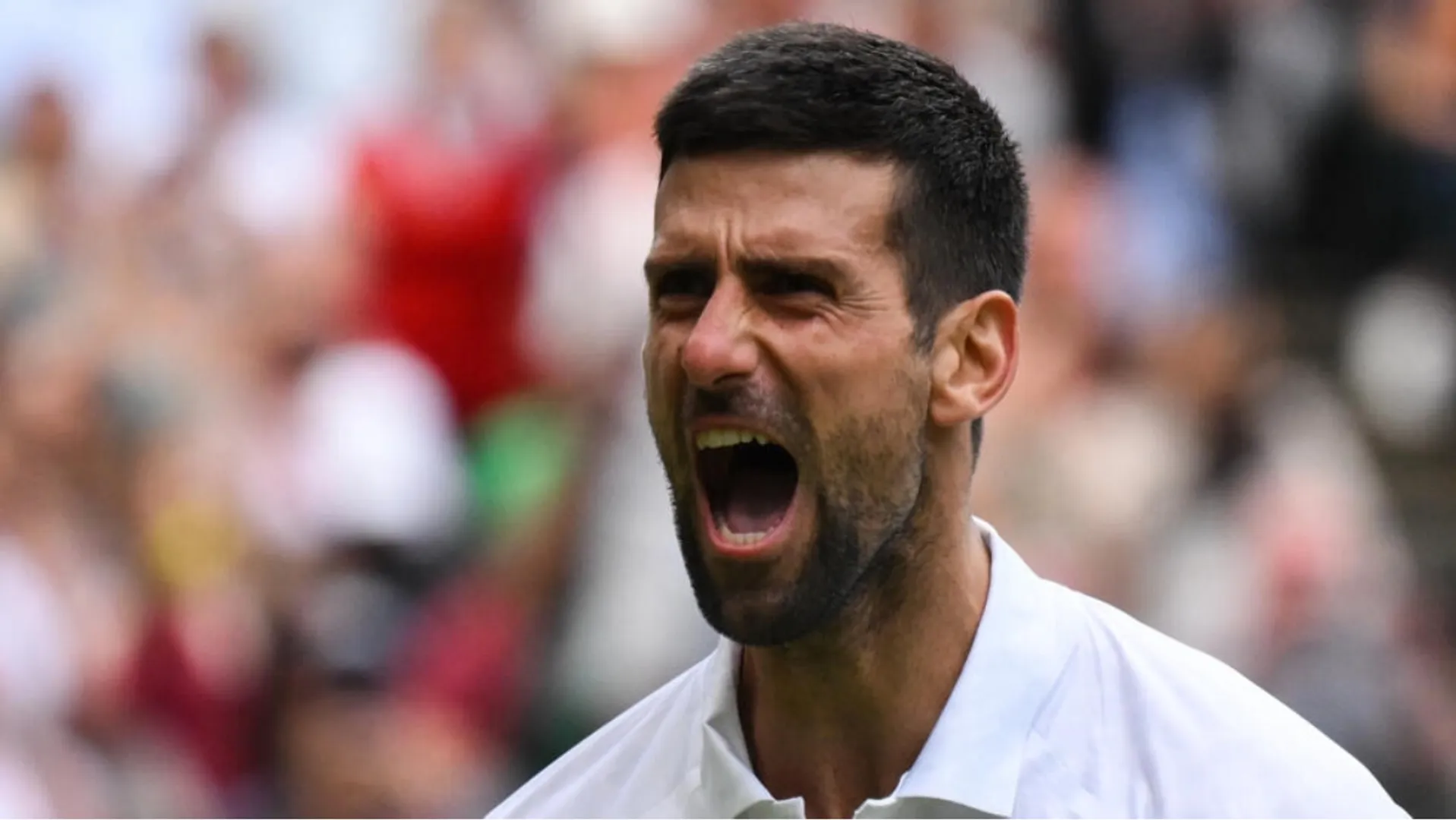 Djokovic into 12th Wimbledon semi-final, 46th at Grand Slams