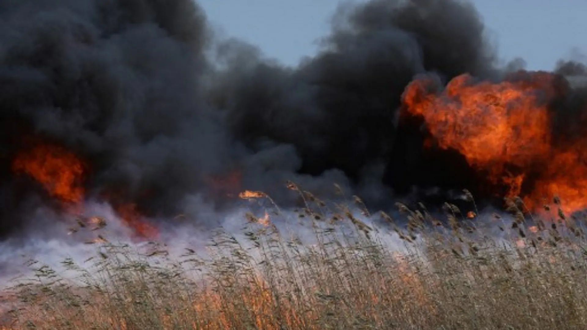 Extreme heat grips southern Europe, fire breaks out in Syria