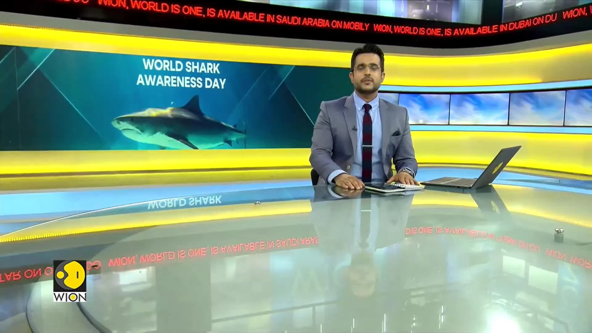 July 14 is celebrated as the 'shark awareness day'