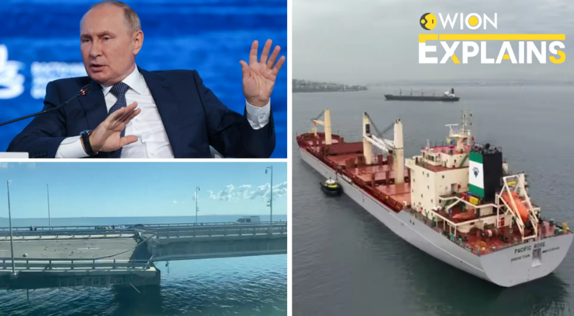 Explained | Russia formally backs out of Black Sea grain deal. What happens now?
