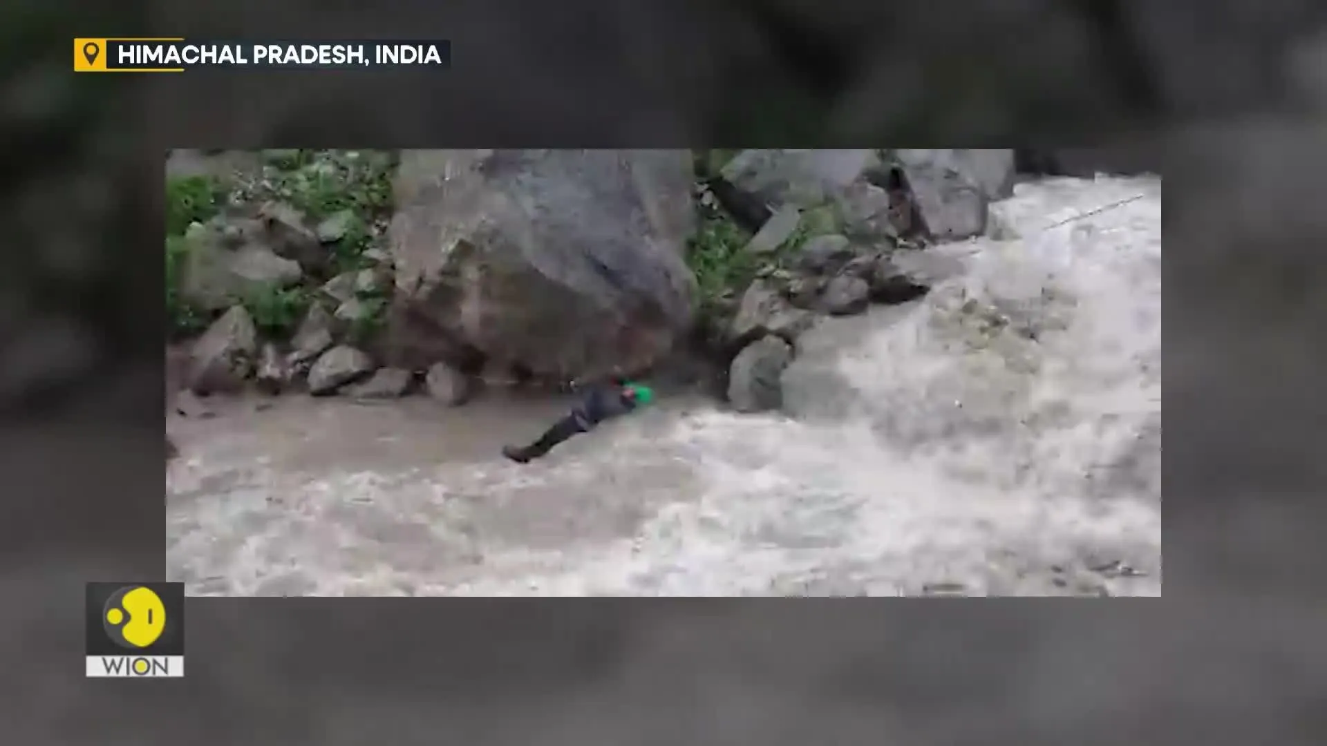 A test of humanity: Saving animals in flood-hit north India