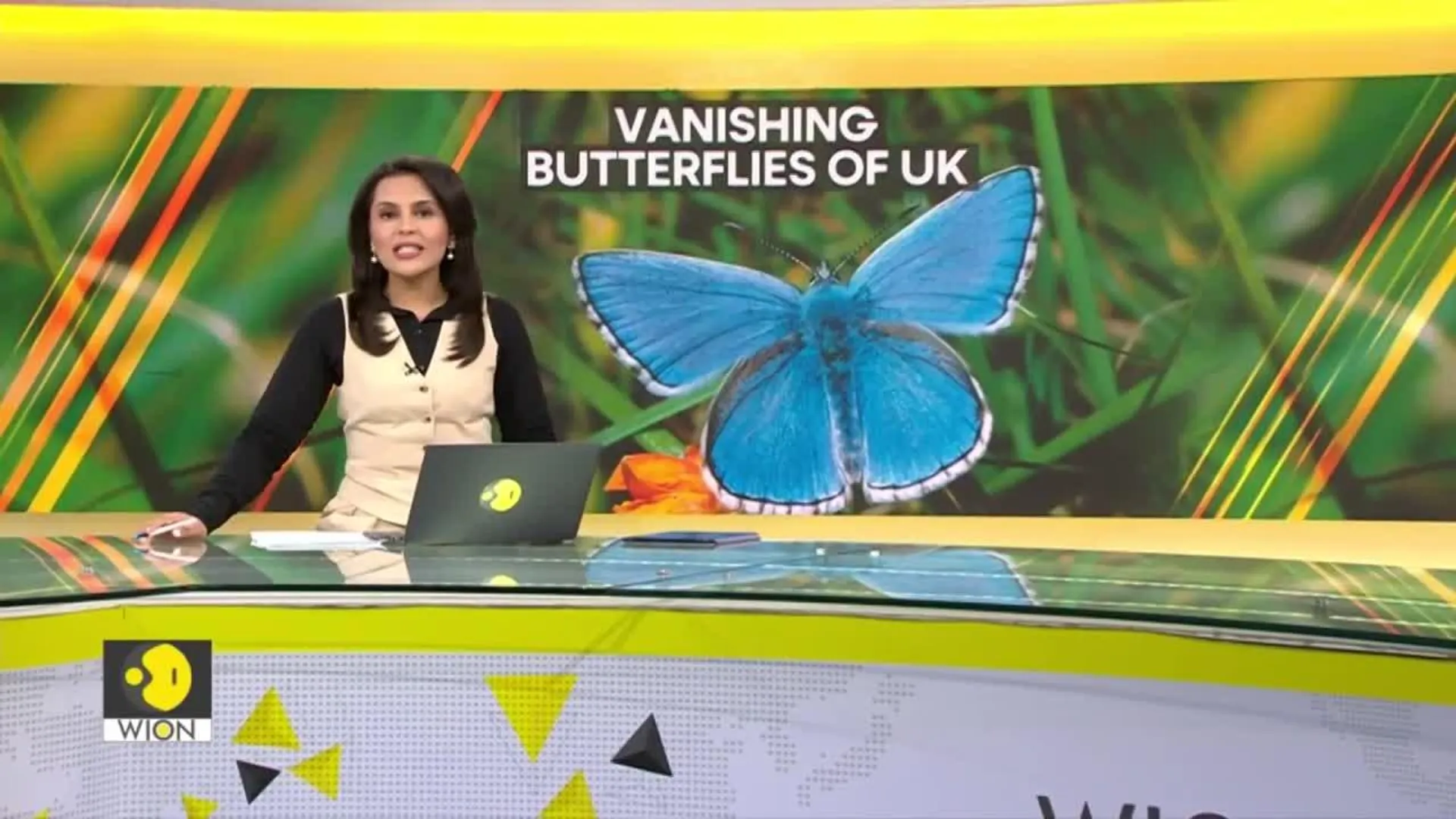 Wildlife lovers urged to join Uk's annual butterfly count