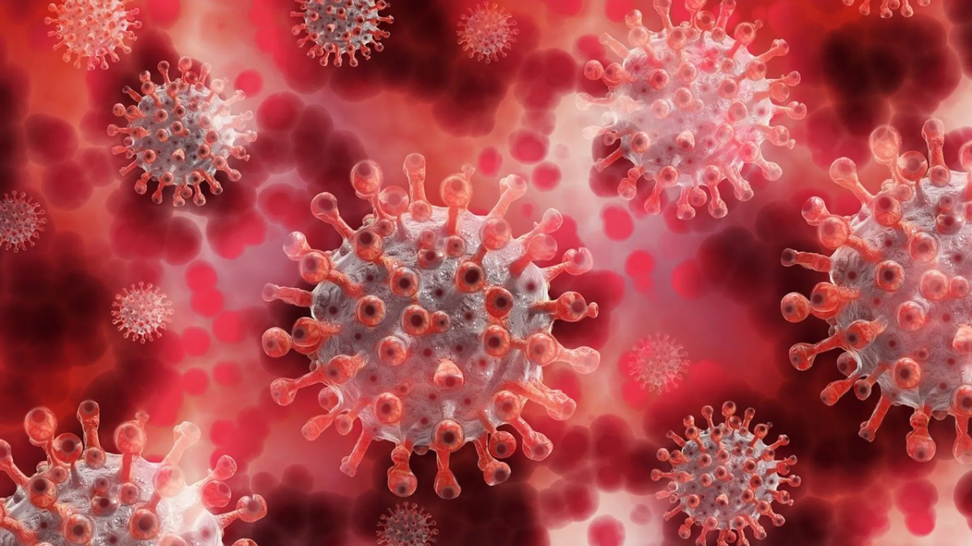 Covid scare back in Europe and US as new contagious variant XEC becomes dominant