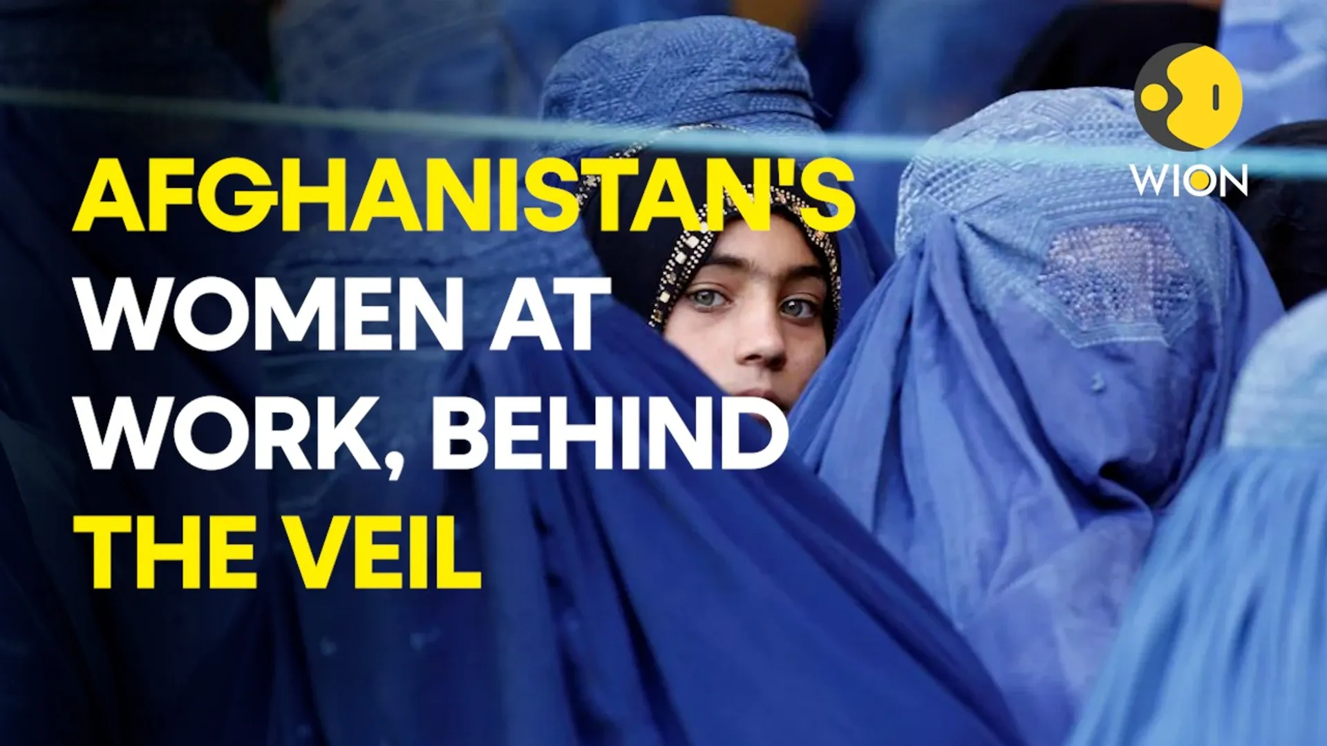 What is it like to be a working woman in Afghanistan | WION Exclusive