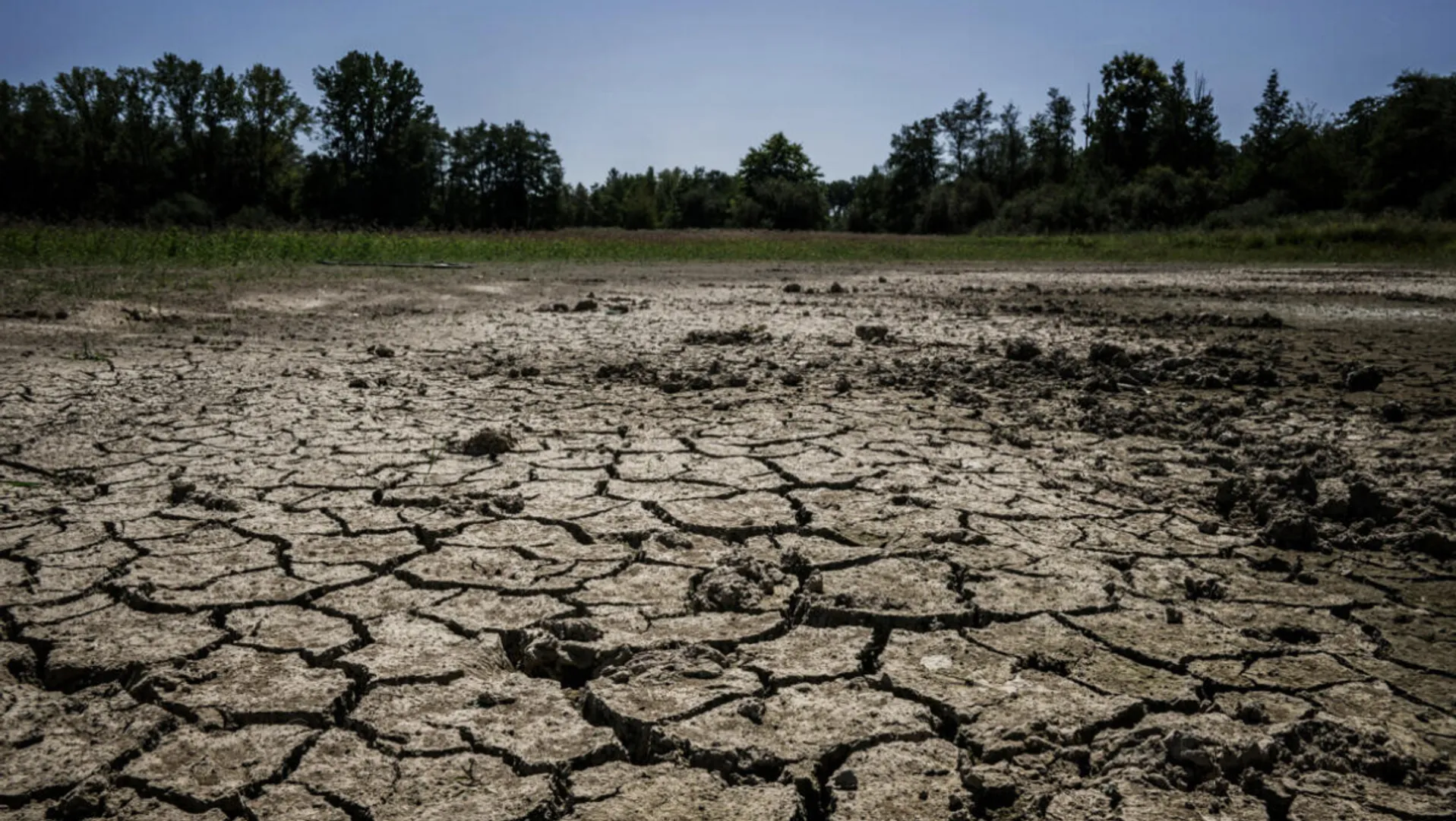 Few days of scorching heat to push billions in throes of food insecurity: Study