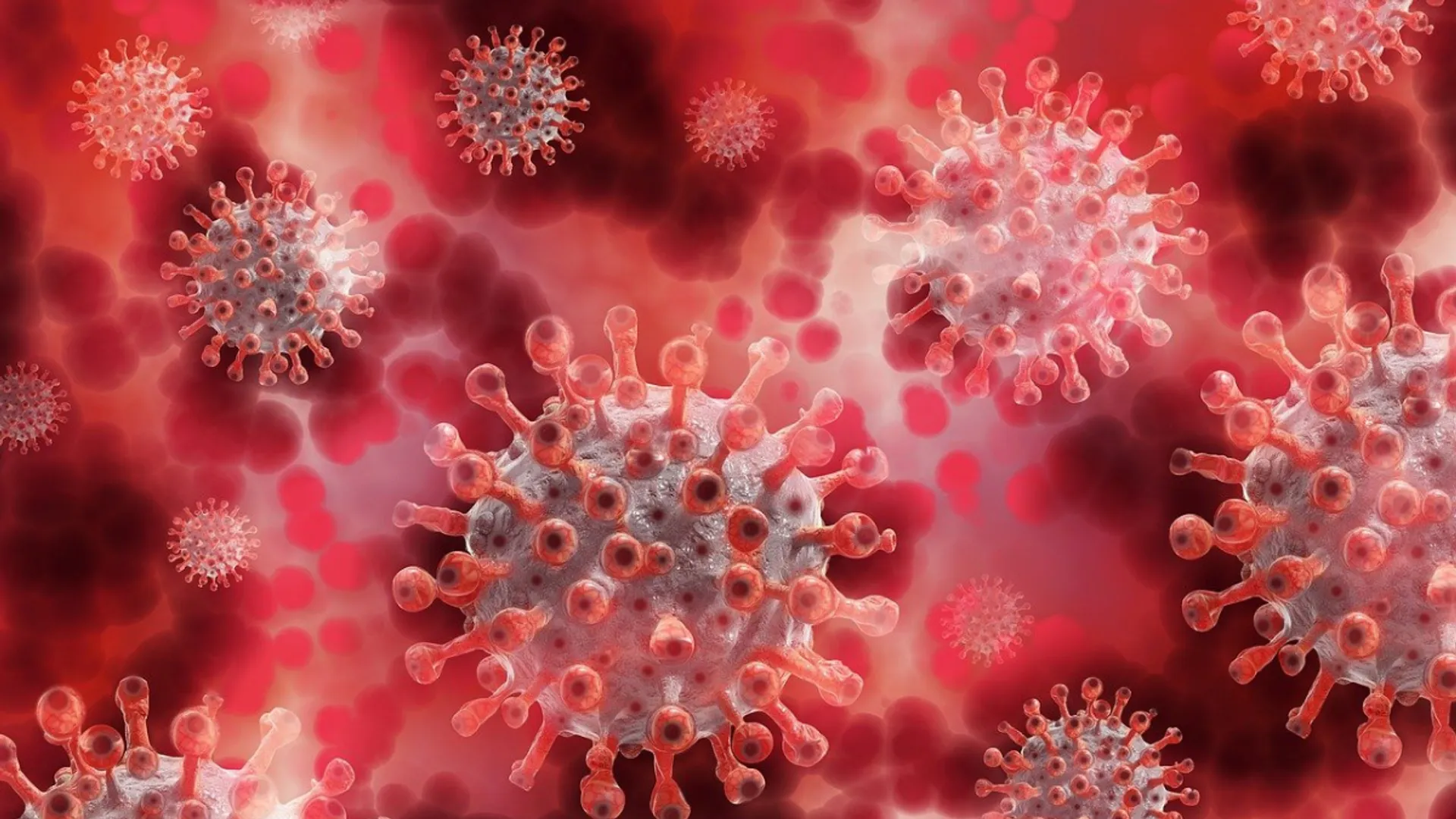 Is Covid back with summer wave as cases rise in UK and US?