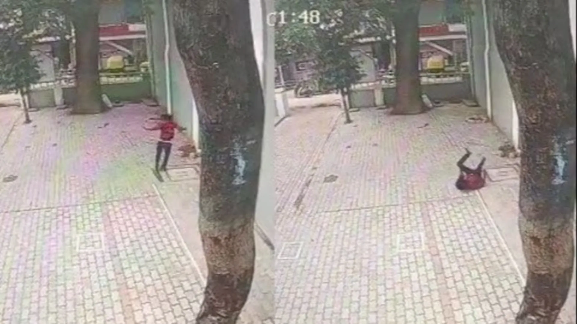 Watch: Rape accused escapes Indian jail by scaling 40-foot-high wall