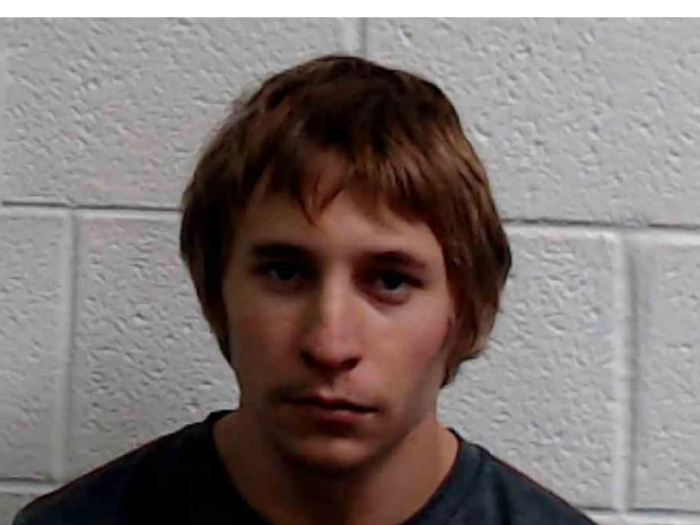 21-year-old Ukrainian boy adopted by American couple brutally killed his adoptive parents