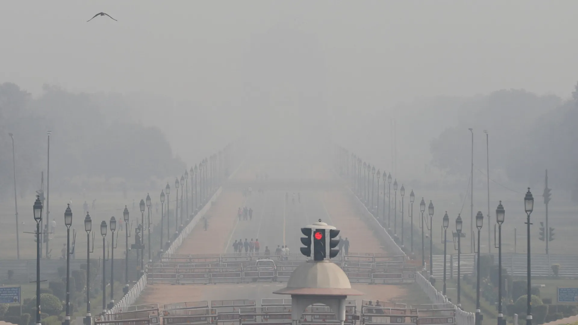 India: Delhi govt renews ban on firecrackers to combat pollution