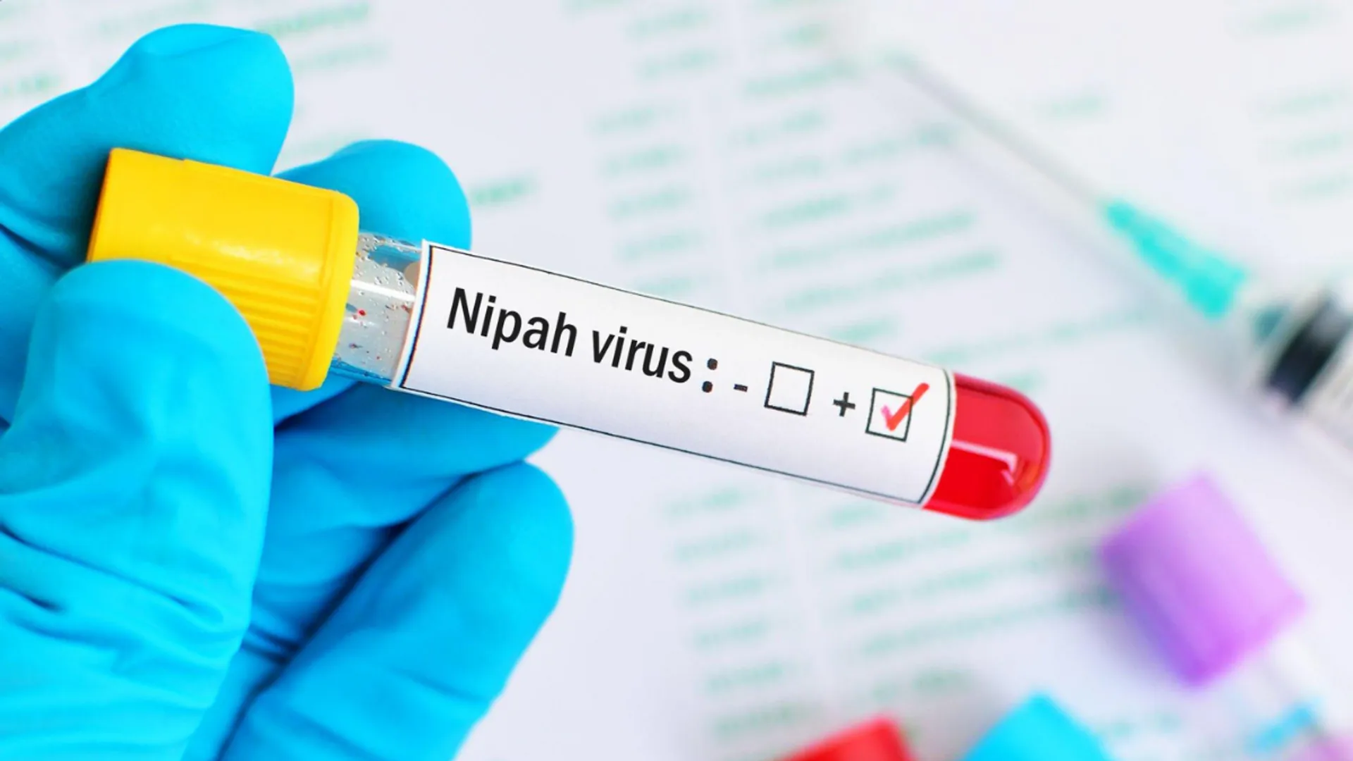 Nipah virus latest | Kerala reports sixth case, govt rushes to curb spread