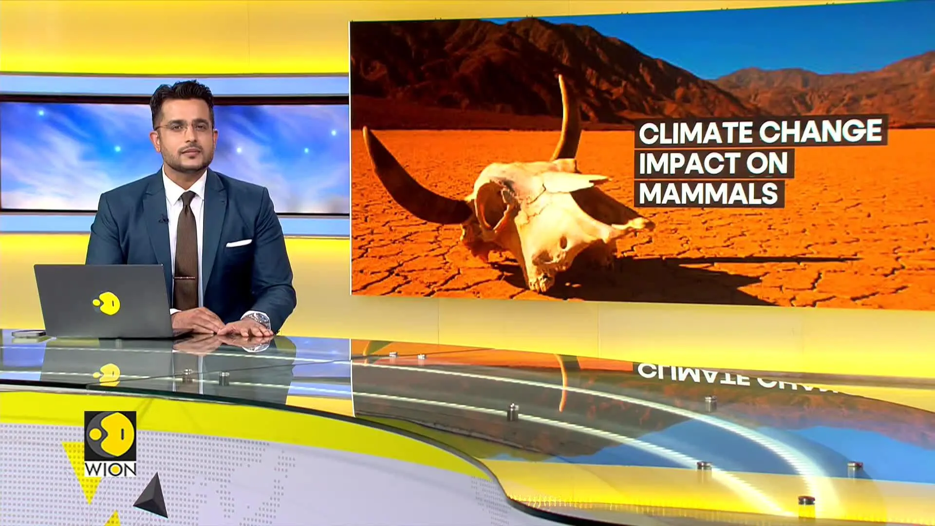Supercontinent could wipe out all mammals