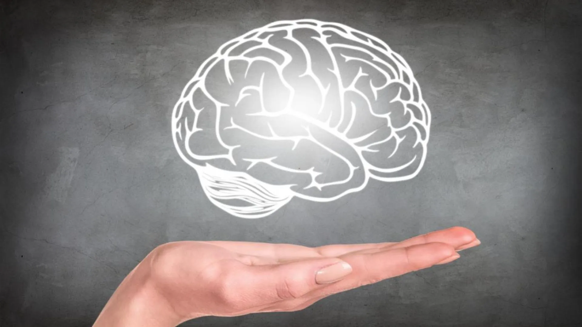 Does brain structure change during menstruation? This is what research says