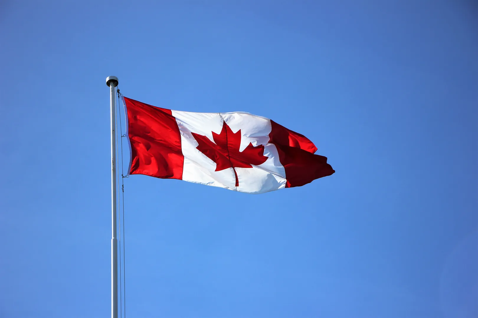 Survey finds 44% of Canadians say there's too much immigration, reflects criticism of Trudeau govt's policy