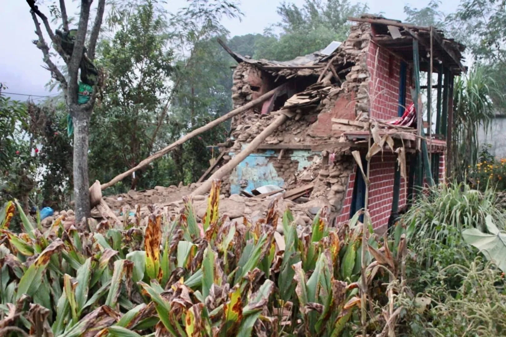 Nepal earthquake: Rescuers dig through rubble with bare hands as deaths climb to 157