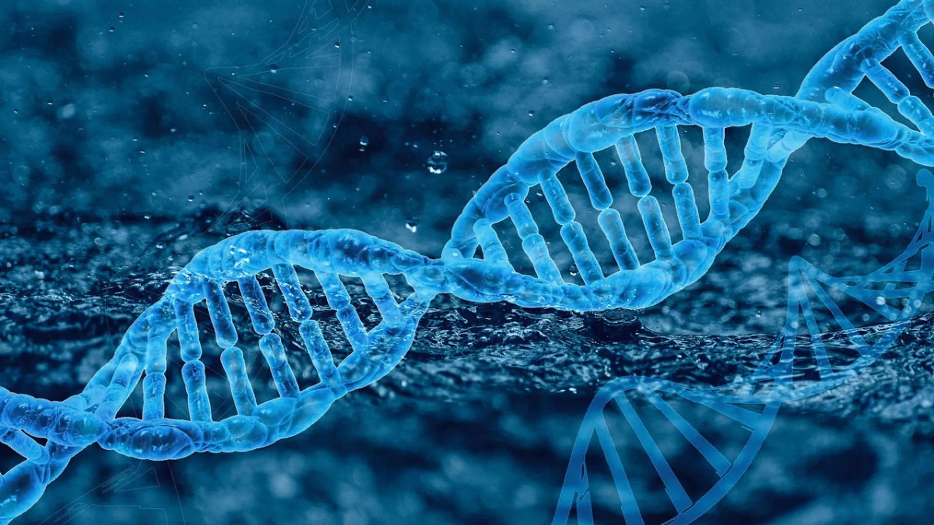 Denisovans DNA shows connection with ‘dragon man’ 100,000 years ago