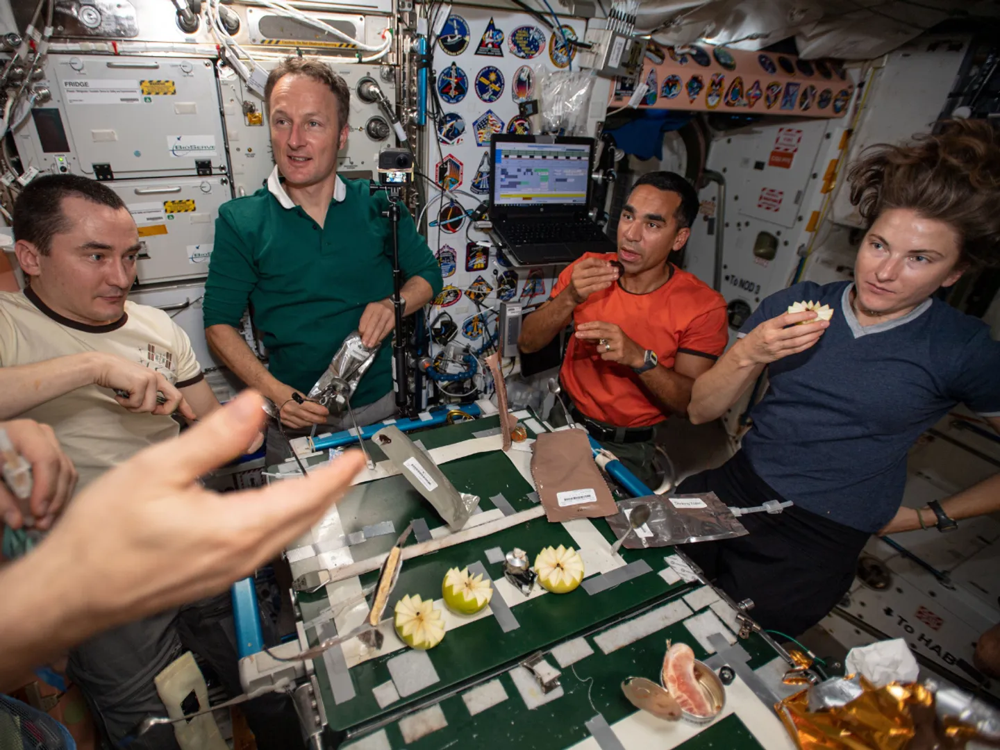 Quail, turkey, seafood & more: 50th Thanksgiving on space station was a grand affair