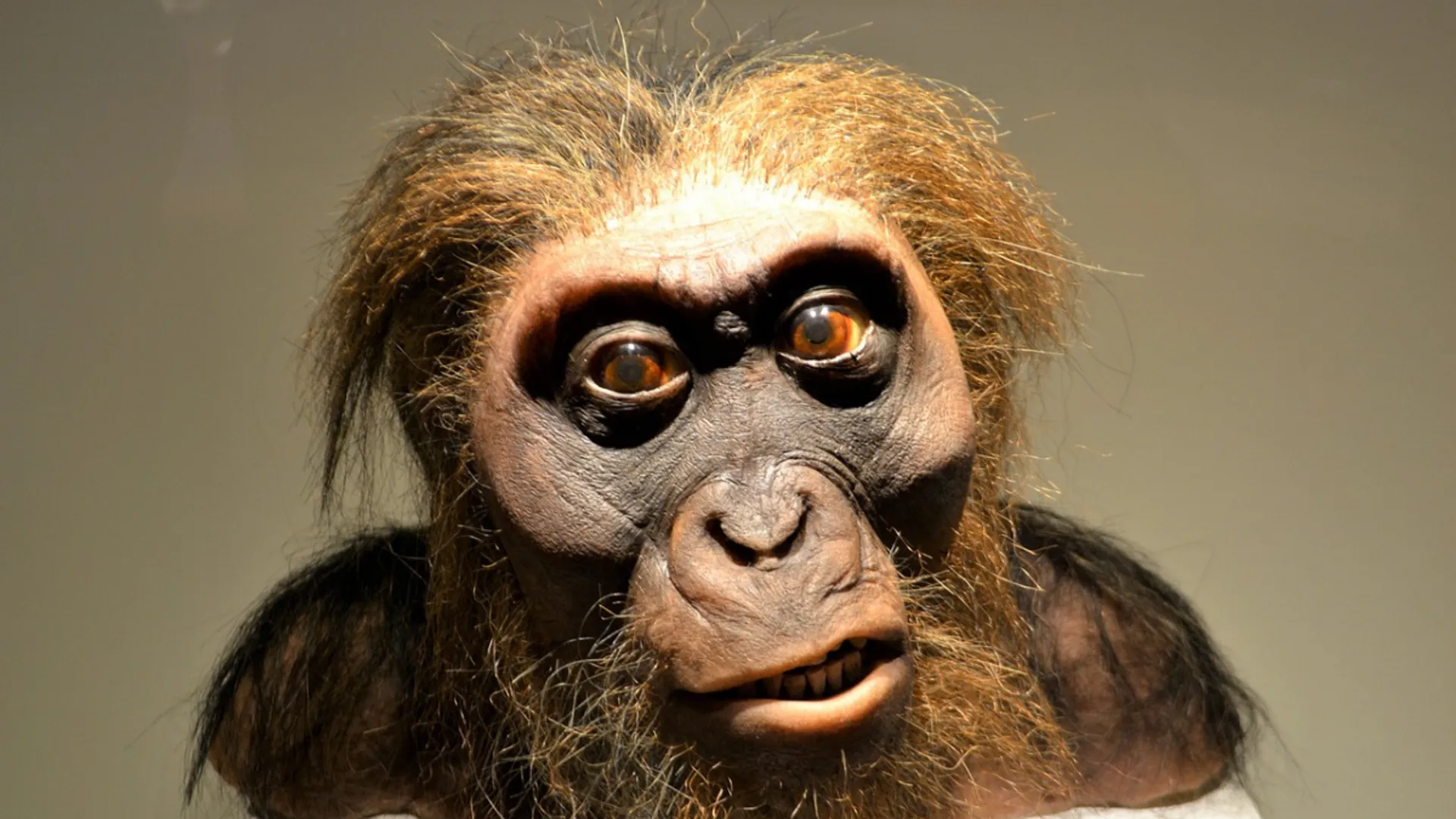 How did Neanderthals speak? Study points to human-like speech