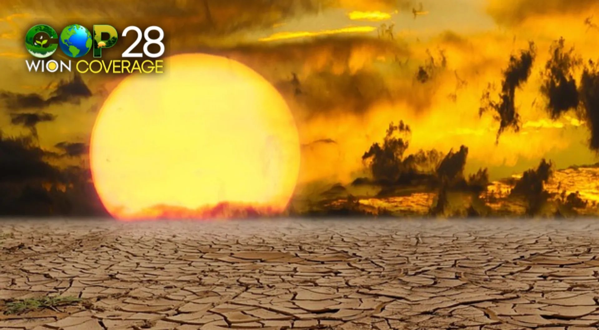 COP28 summit Dubai top developments: UN chief slams lack of political will against complete "phaseout" of fossil fuels