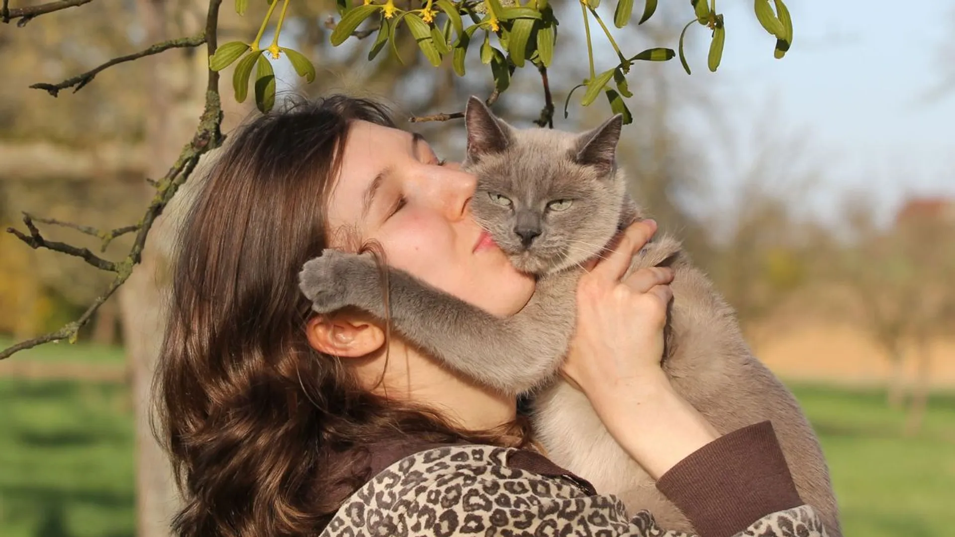Owning cats might up your risk of developing schizophrenia, study suggests