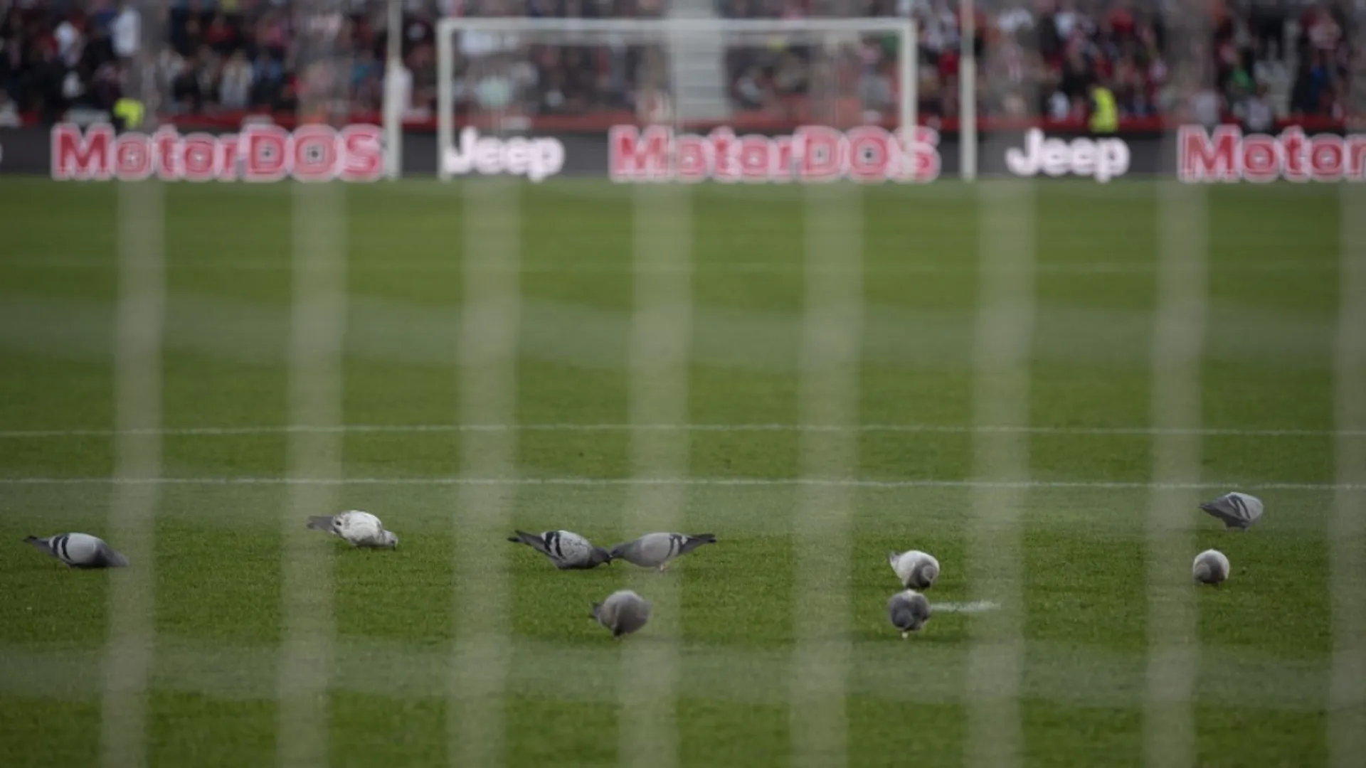 La Liga: Granada-Athletic Bilbao match abandoned after fan dies in stands