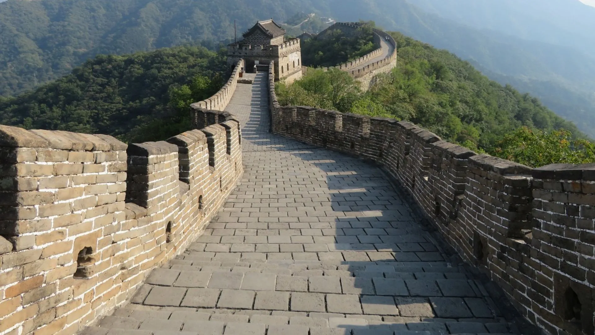 These living things have quietly preserved the Great Wall of China for ages and we weren't even aware