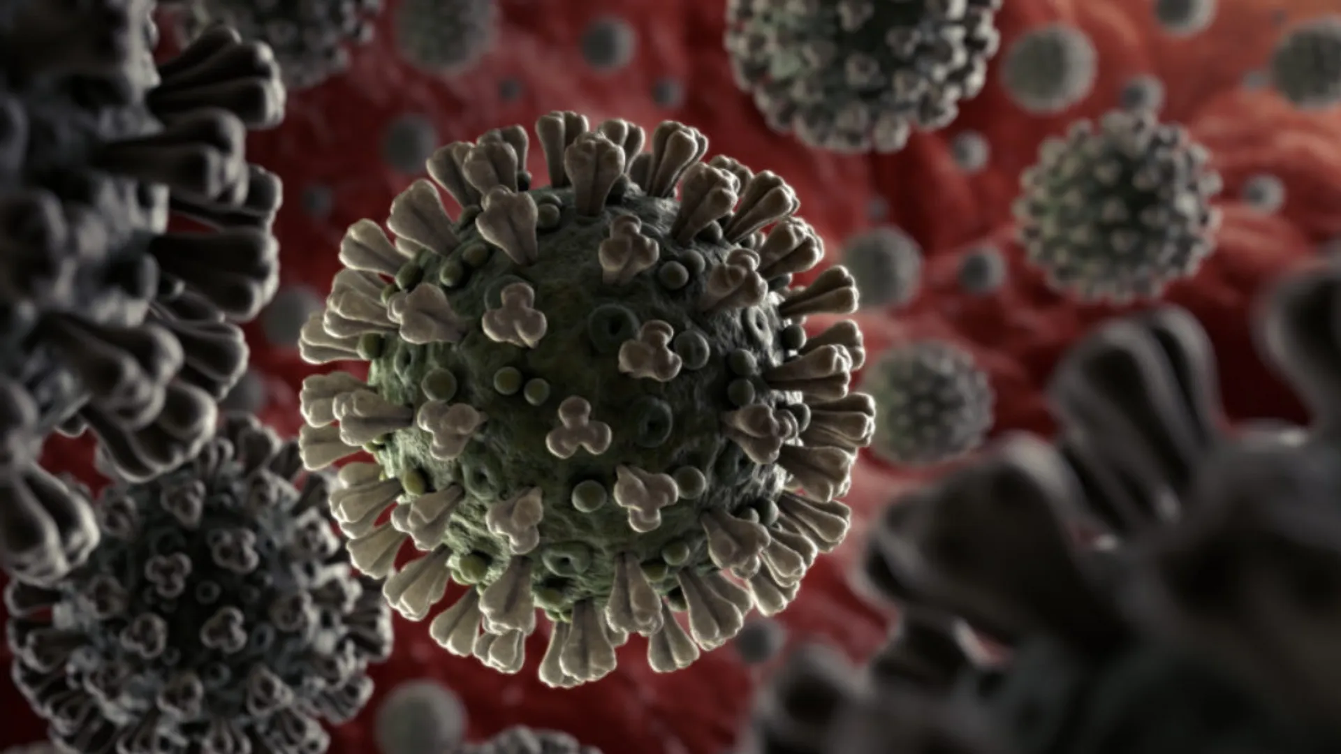 Researchers develop nanoparticles that target multiple COVID variants: A breakthrough in fighting the virus