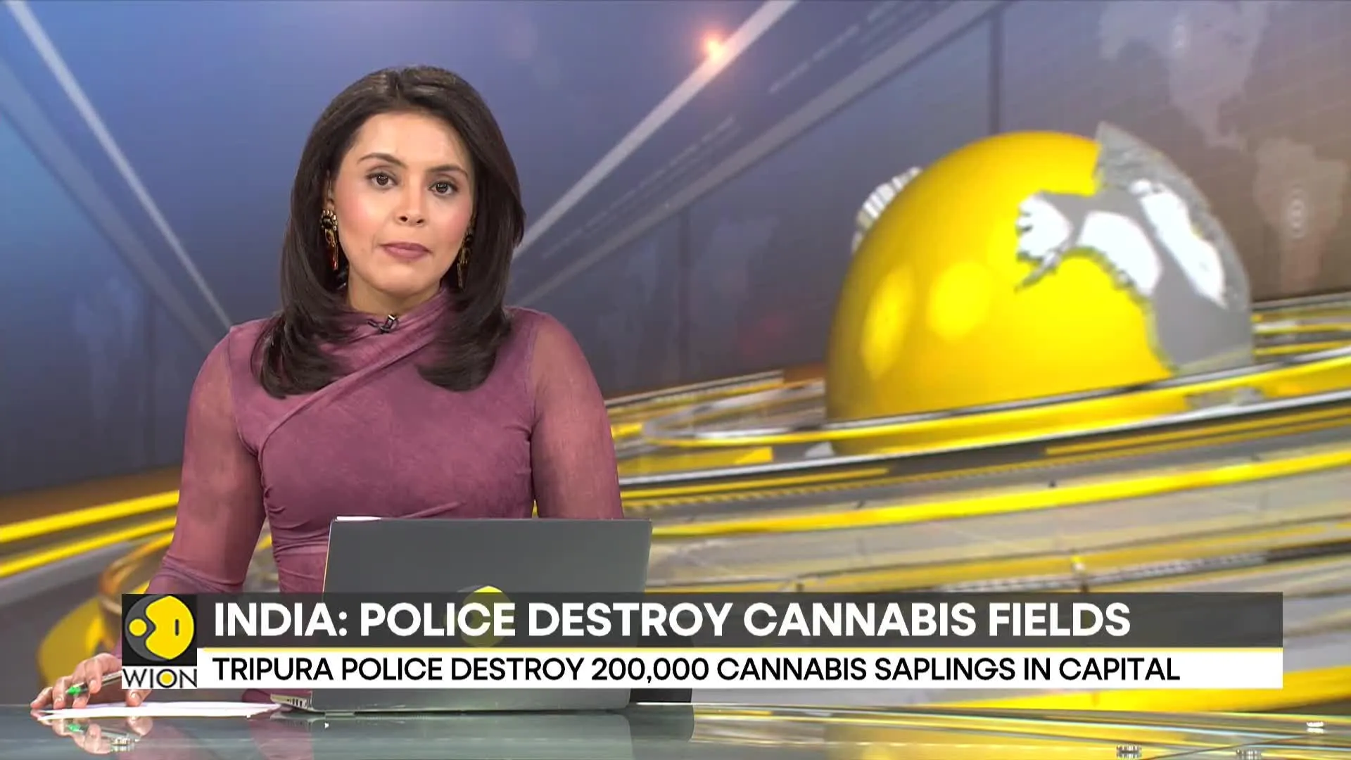 India: Tripura police crackdown against Cannabis, destroys 2 lakh saplings in  Agartala