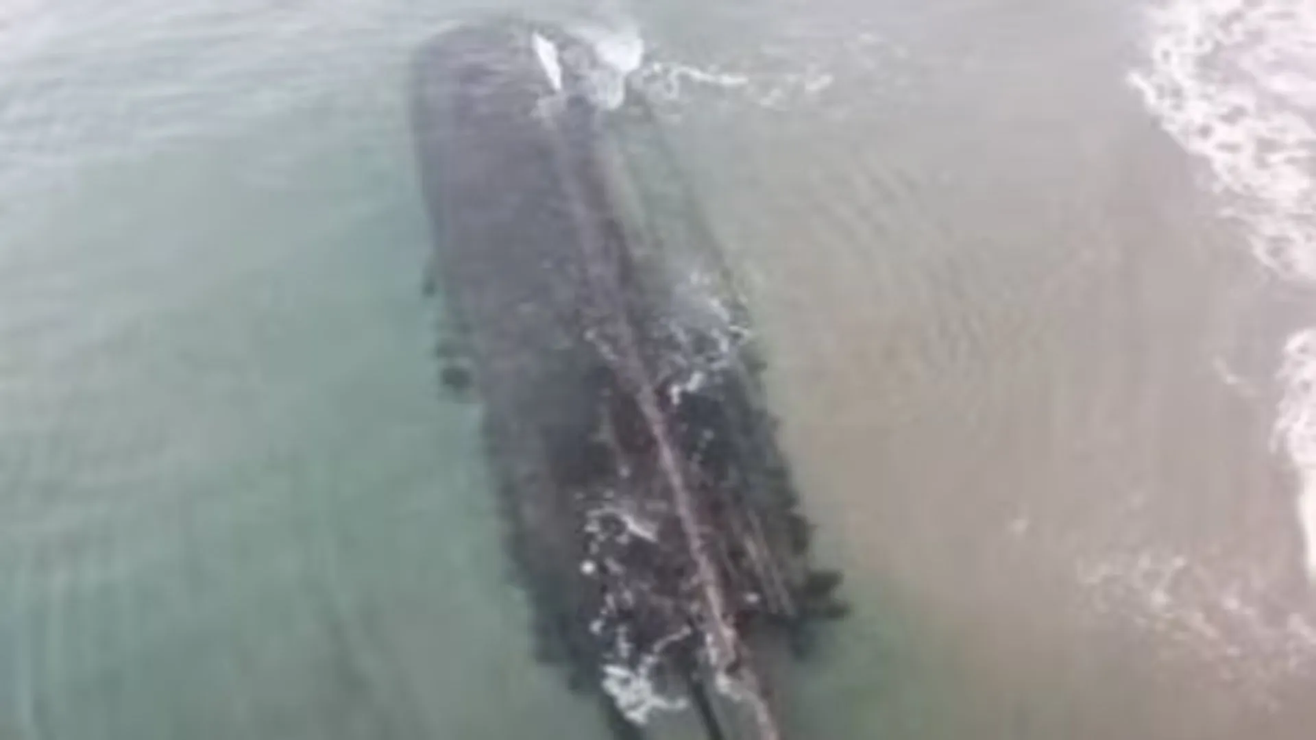 Massive 19th-century shipwreck surfaces on Canadian beach. VIDEO