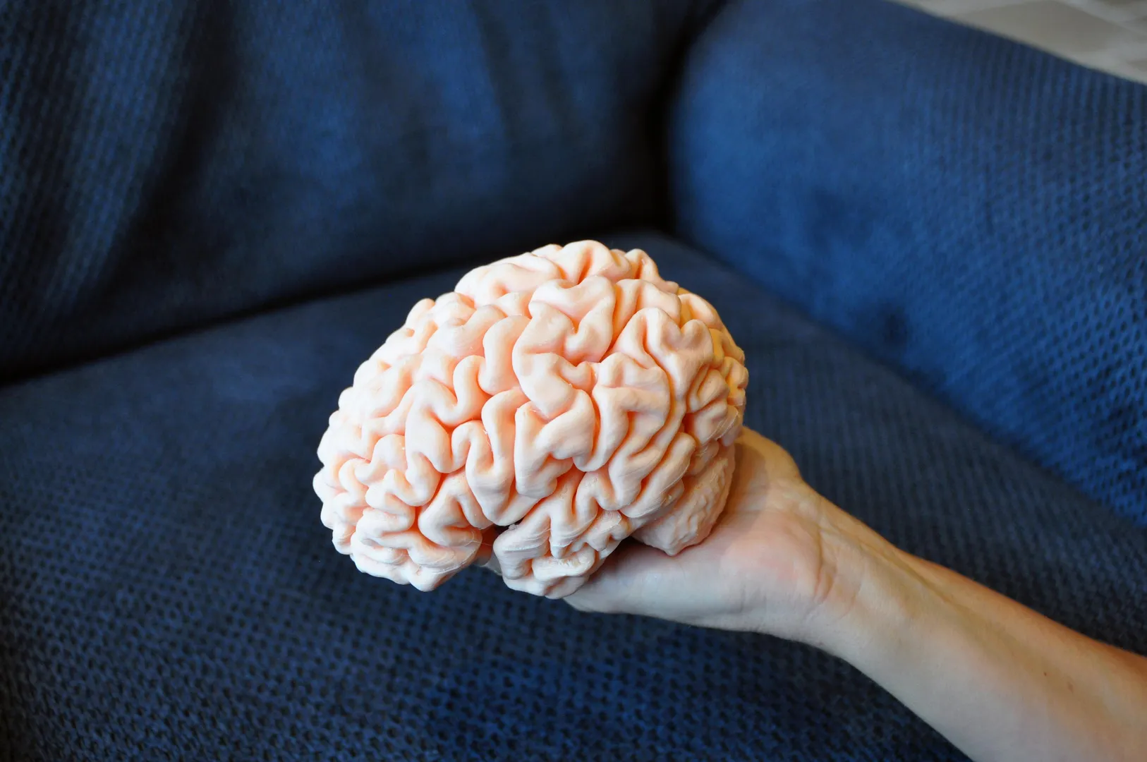 Indicator of ageing brain? Slow speech, yes! The struggle to find the right words, no!
