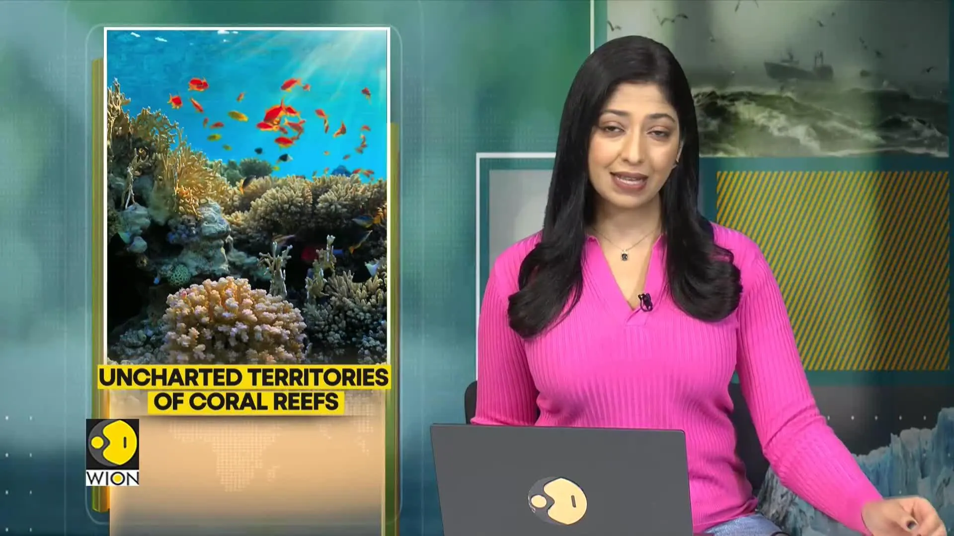 Coral reef area larger than was known