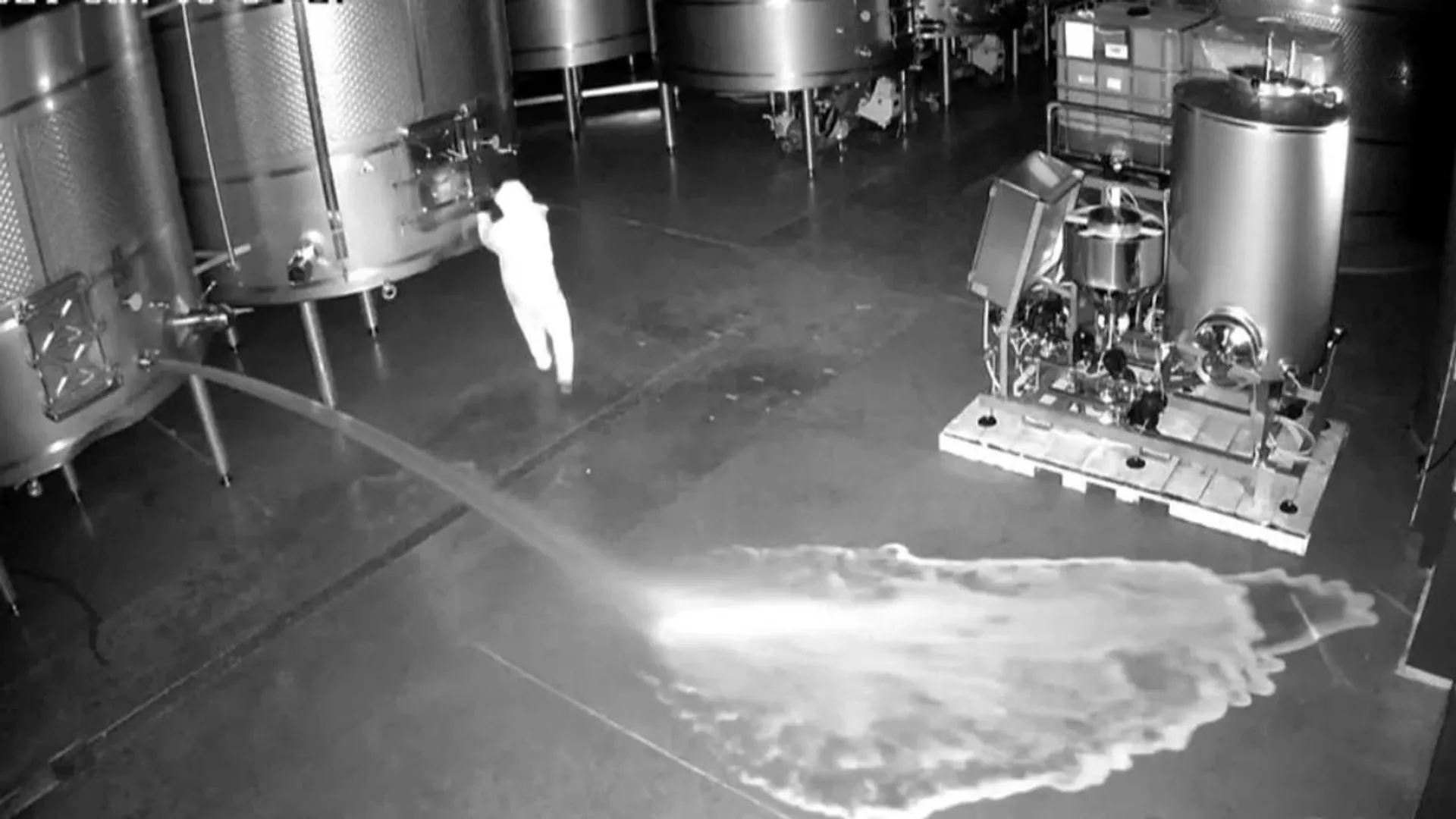 Intruder at Spain winery pours away wine worth $2.7 million
