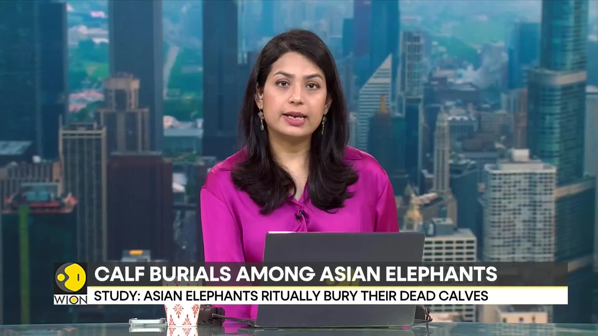 Asian Elephants ritually bury their dead calves says study