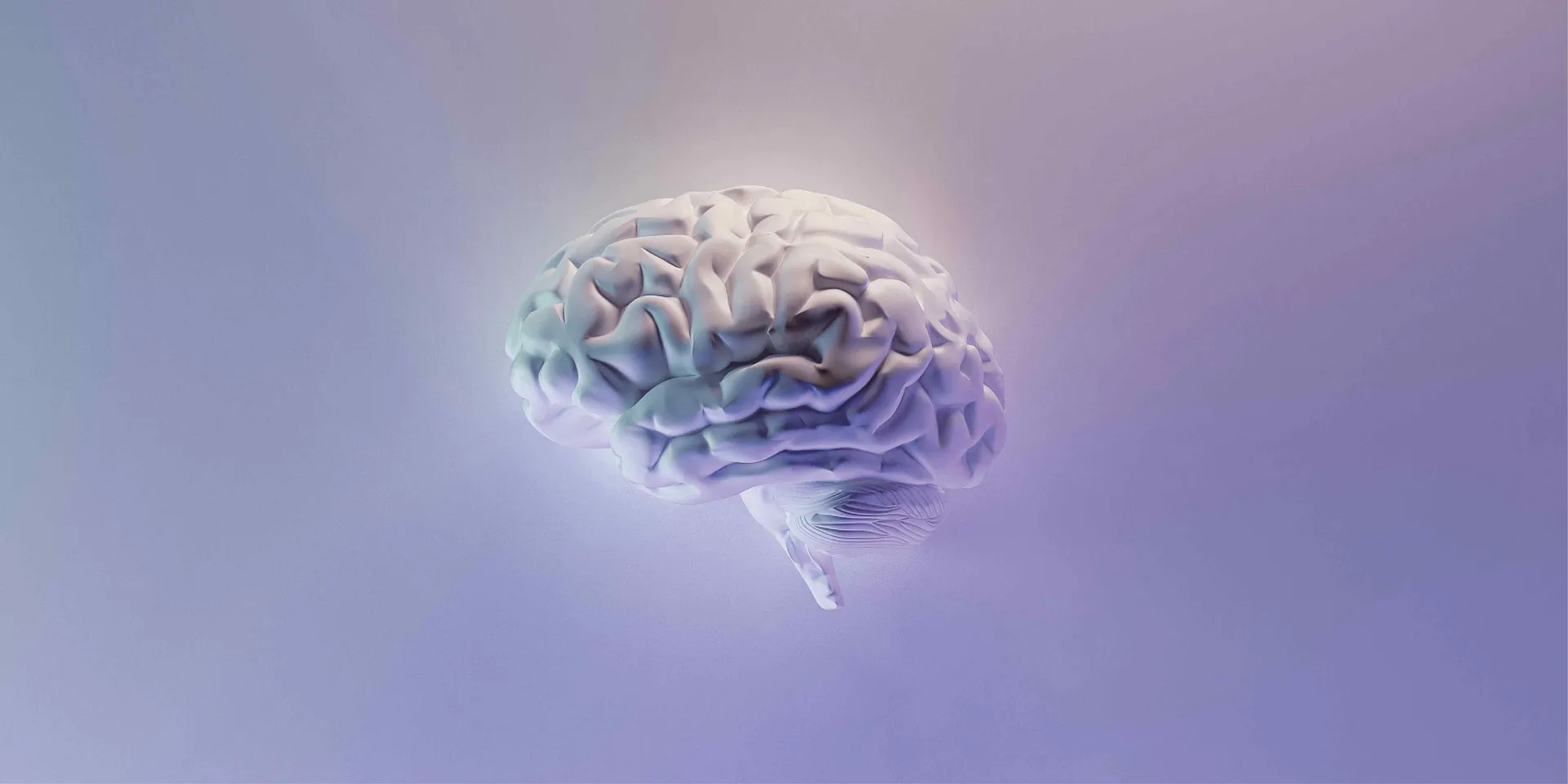 Damage to brain network linked with increased religious fundamentalism: Study