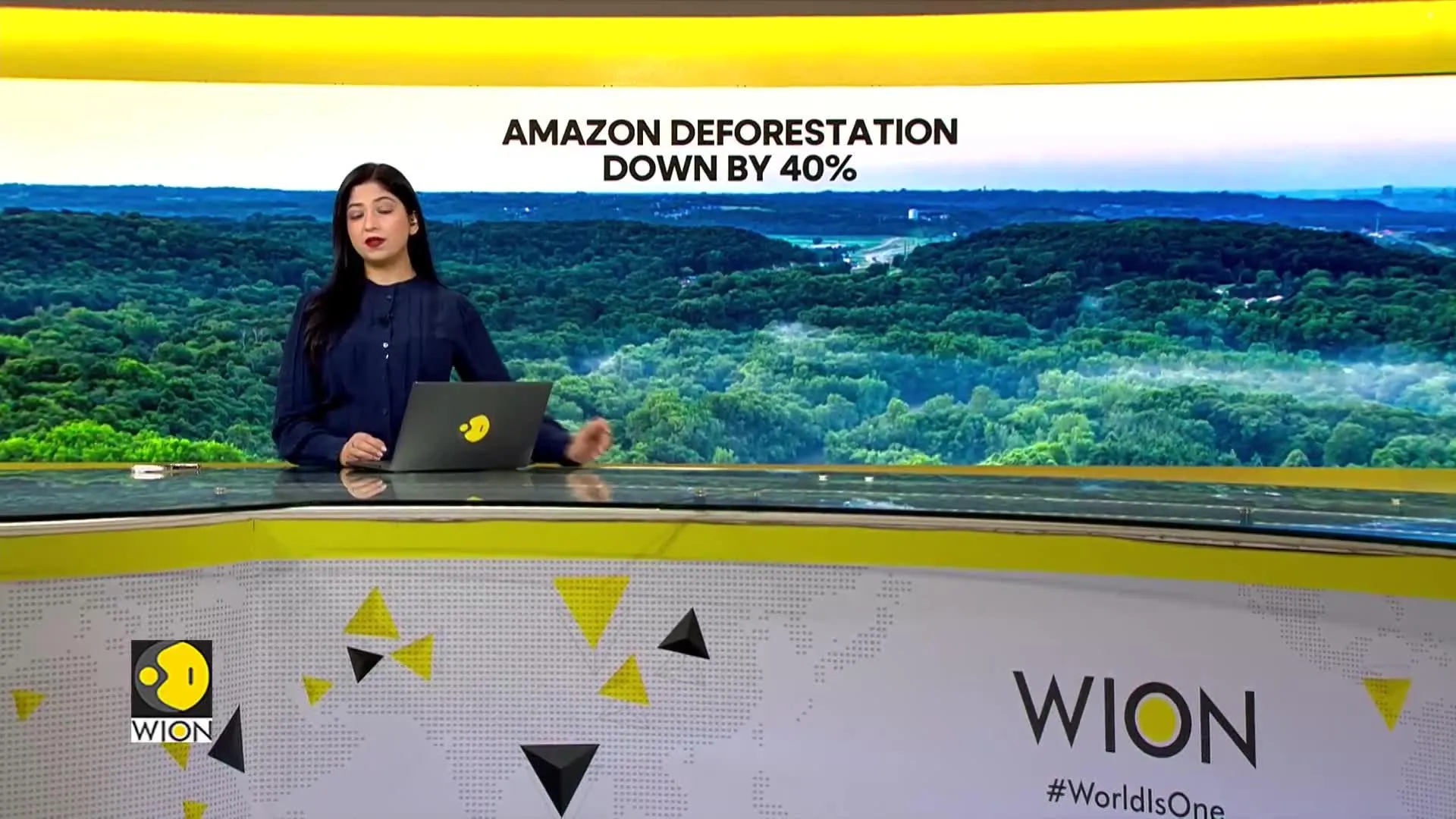 Deforestation in Brazil's Amazon down 40% in 2024
