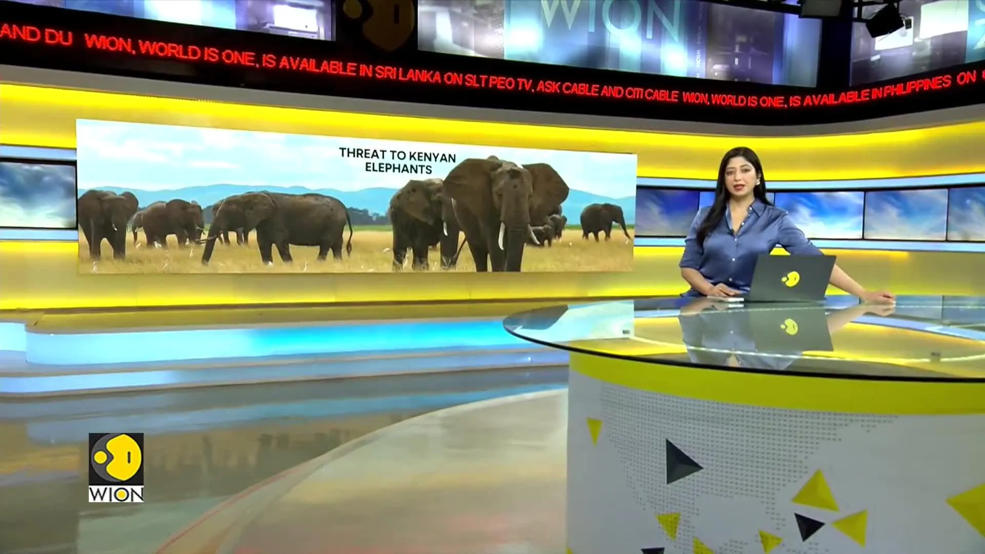 Kenya urges Tanzania to restrict trophy hunters