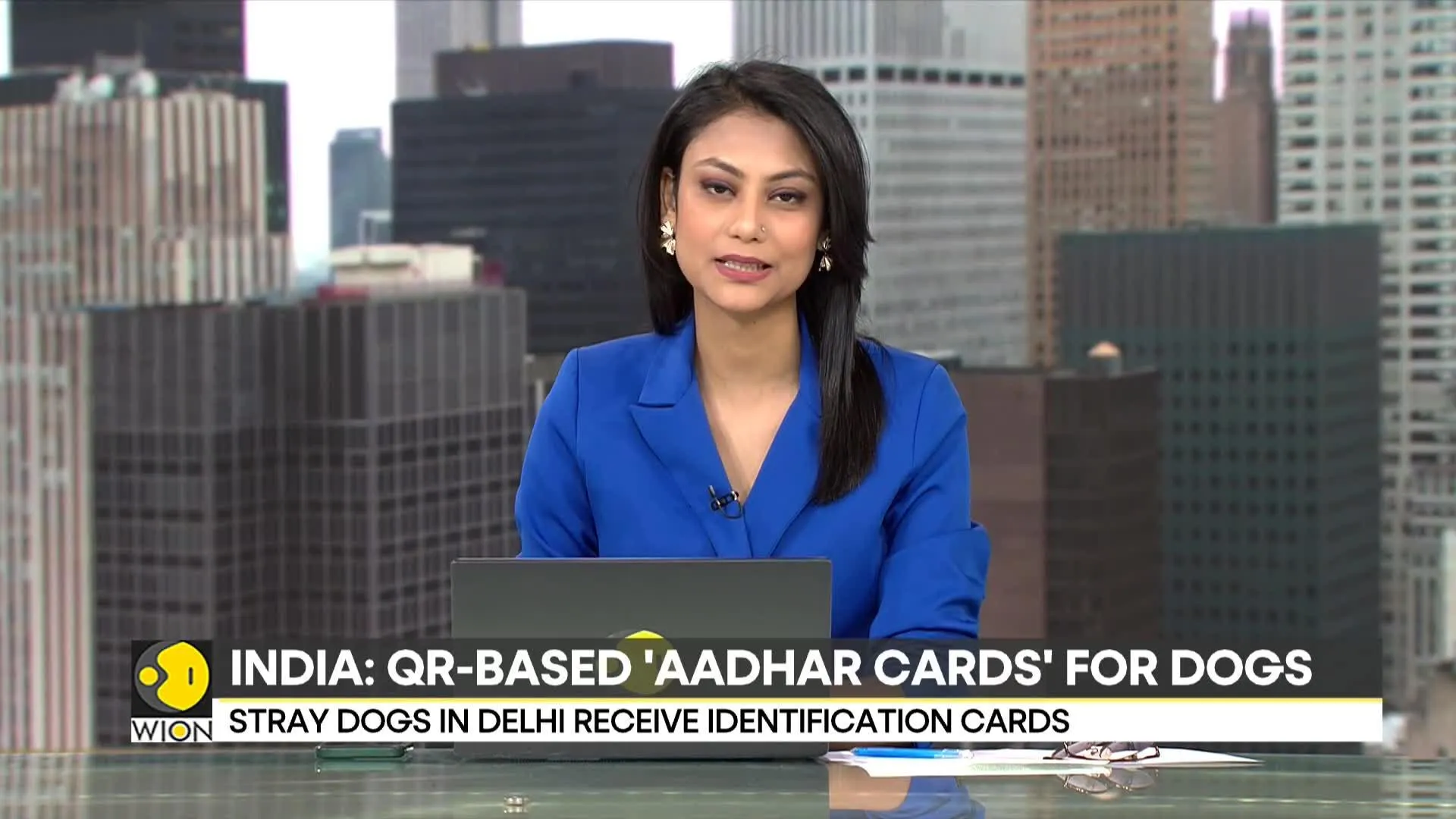 'Aadhaar cards' with QR codes for Indian stray dogs