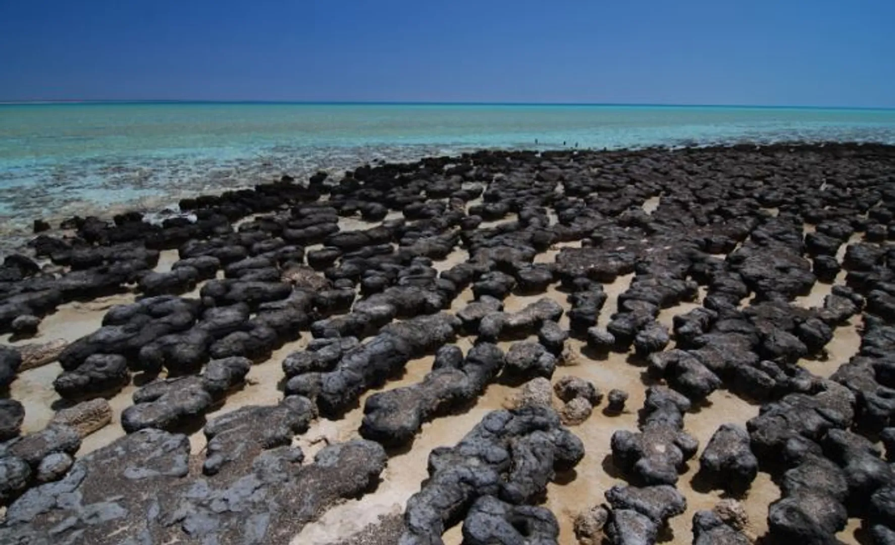 Earth’s ‘life-saver’ magnetic field collapsed 590 million years ago, for all good reasons