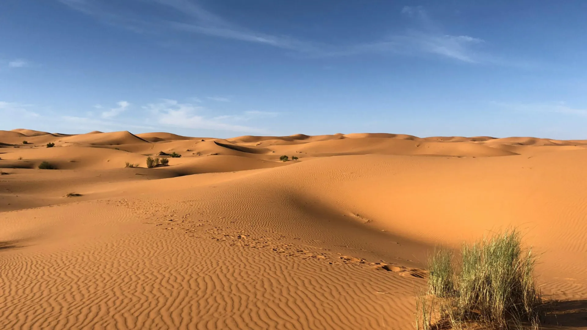 Has Sahara Desert always been barren? A 4,000-year-old rock art holds the answer
