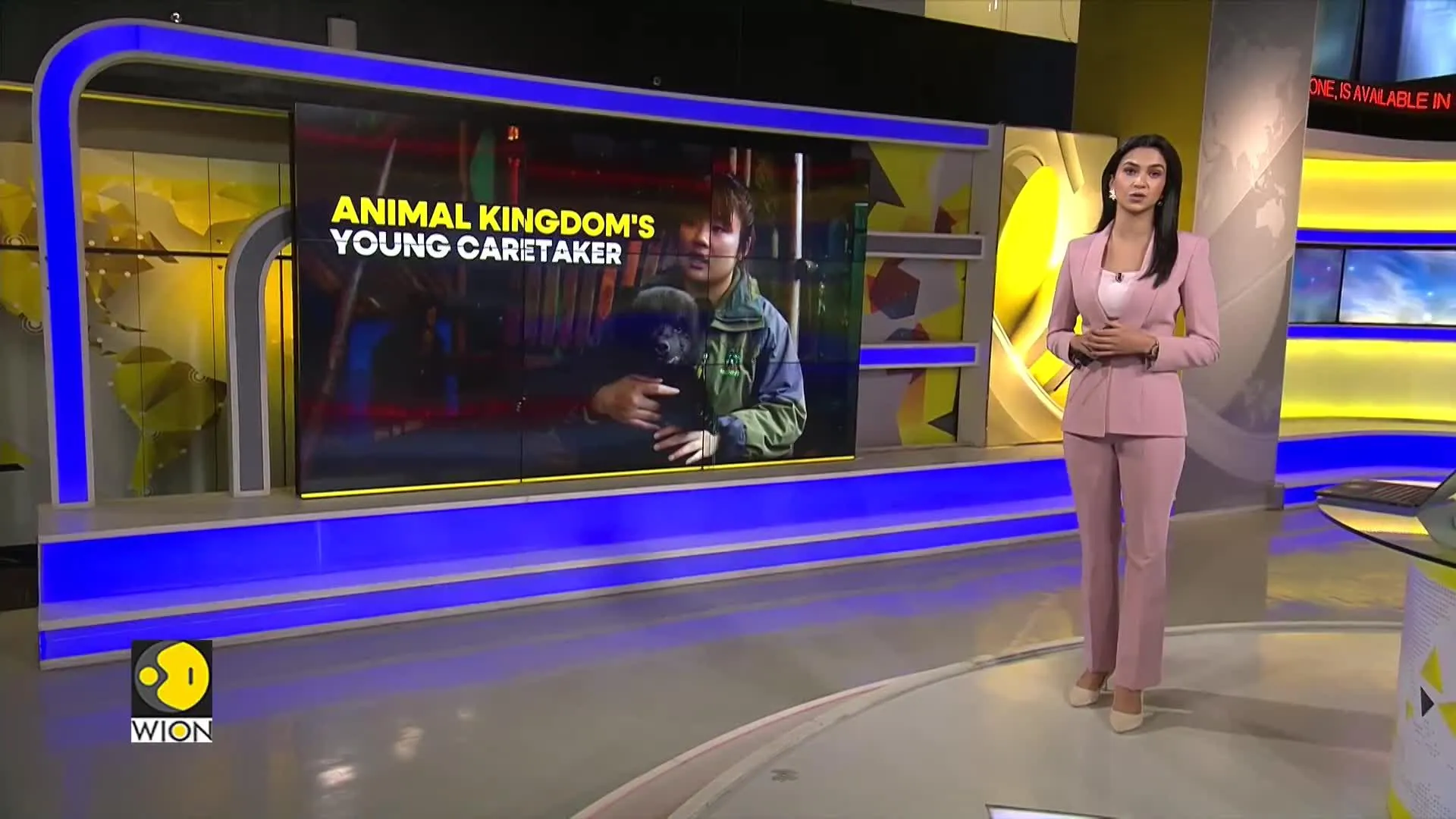 Young caretaker helps nurture wild animals