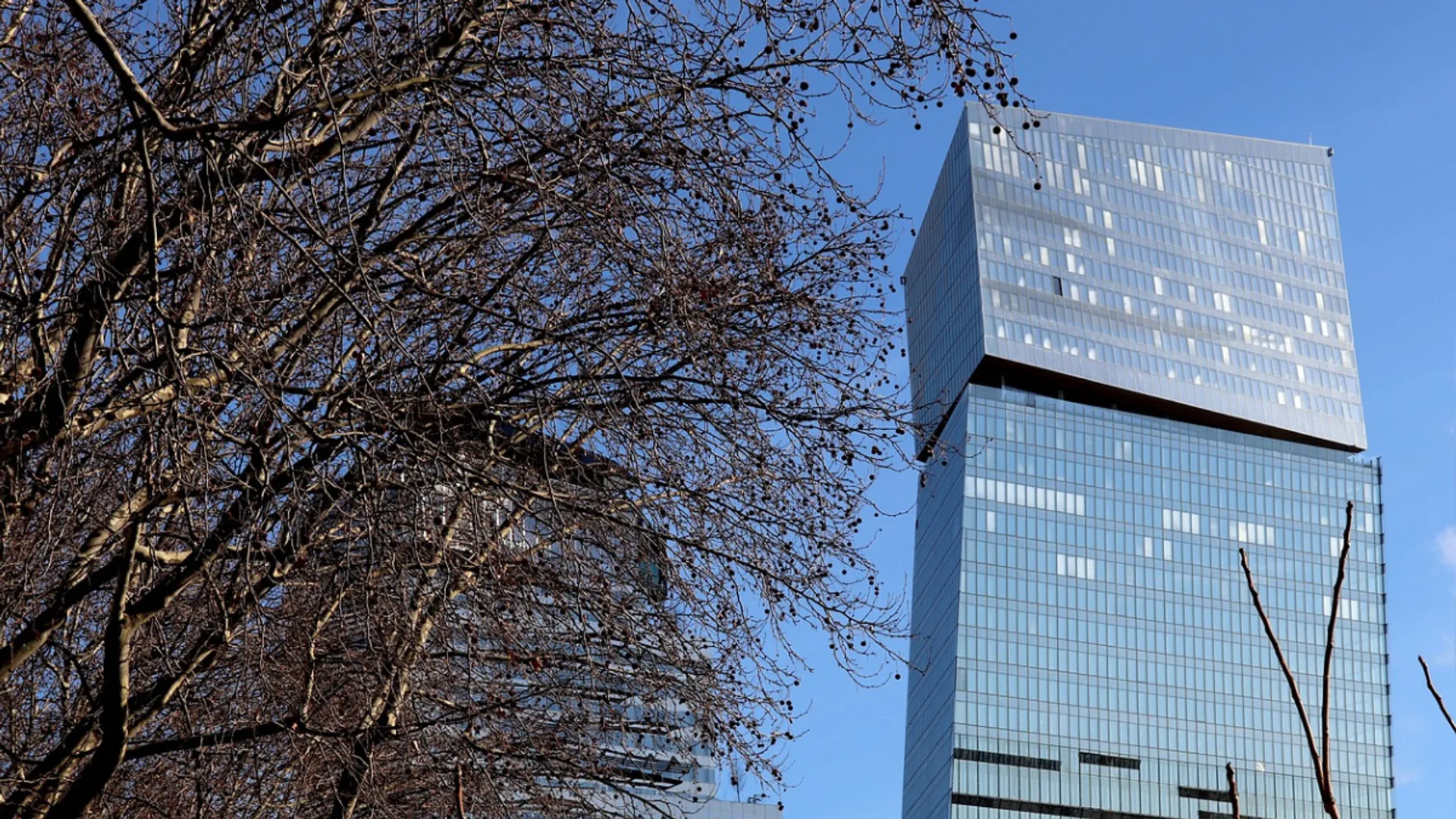 Greenwashing’s Sly Cousin: The Rise of Sustainability Laundering