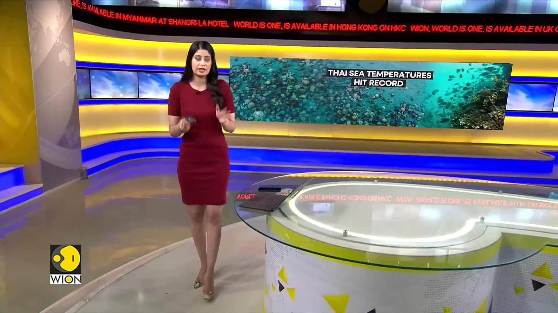Marine life suffers in Thailand as coral bleaching threatens their life