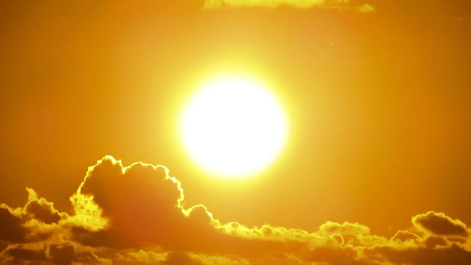 Global heatwave shatters record: Earth sees hottest day on record