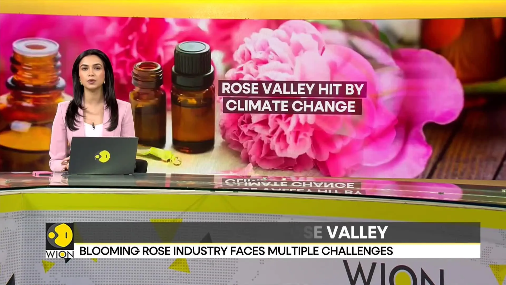 Threat to Bulgaria's Rose Valley as harvesting season starts a month early