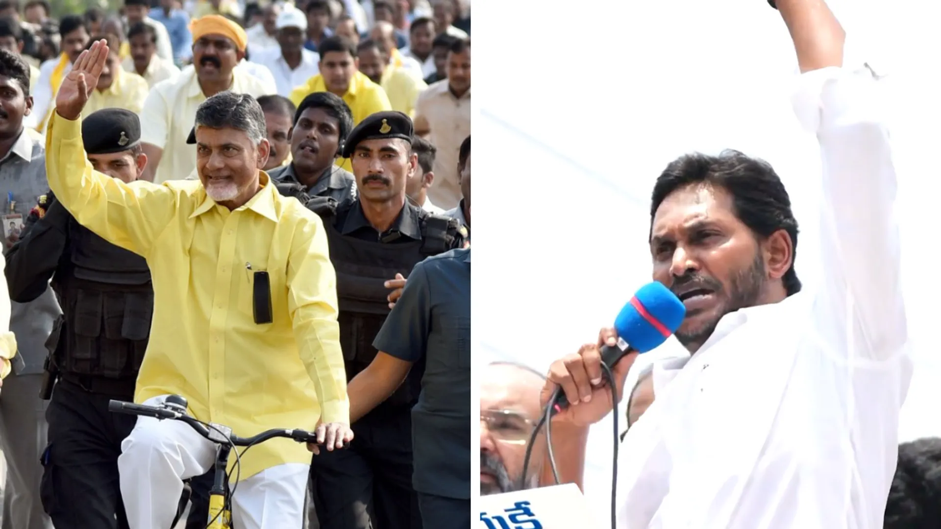 Andhra Pradesh Assembly Election Results 2024: Chandrababu Naidu's TDP-led alliance achieves landslide victory