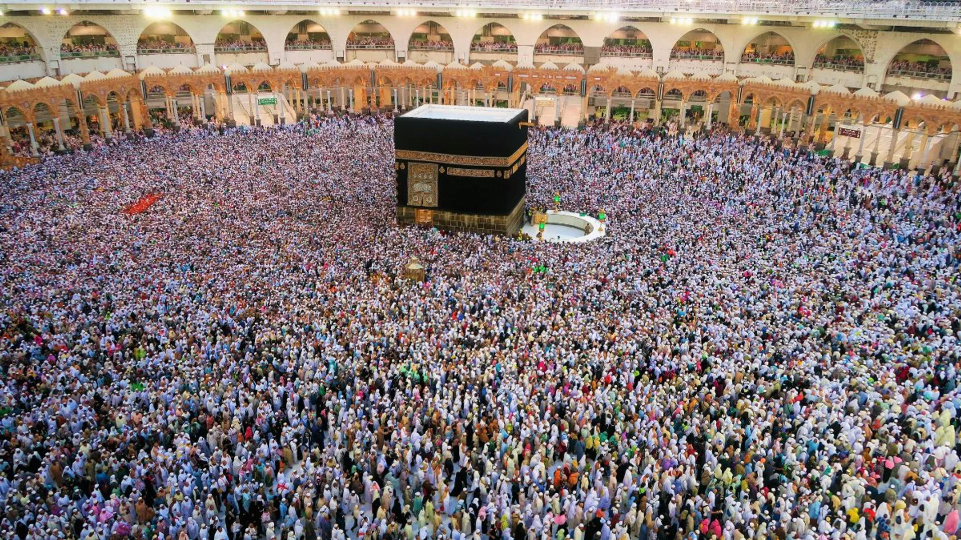 More than 300 Egyptian pilgrims die in hajj, most from heat: Diplomats