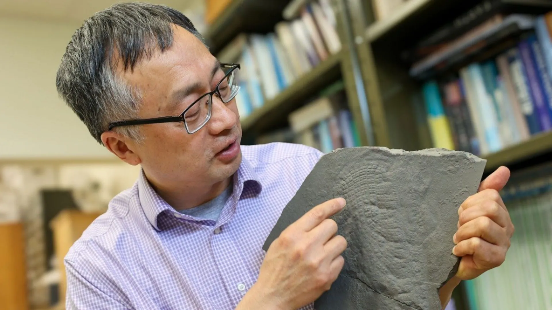 Scientists discover ancient sea sponge fossil, providing missing link in evolution