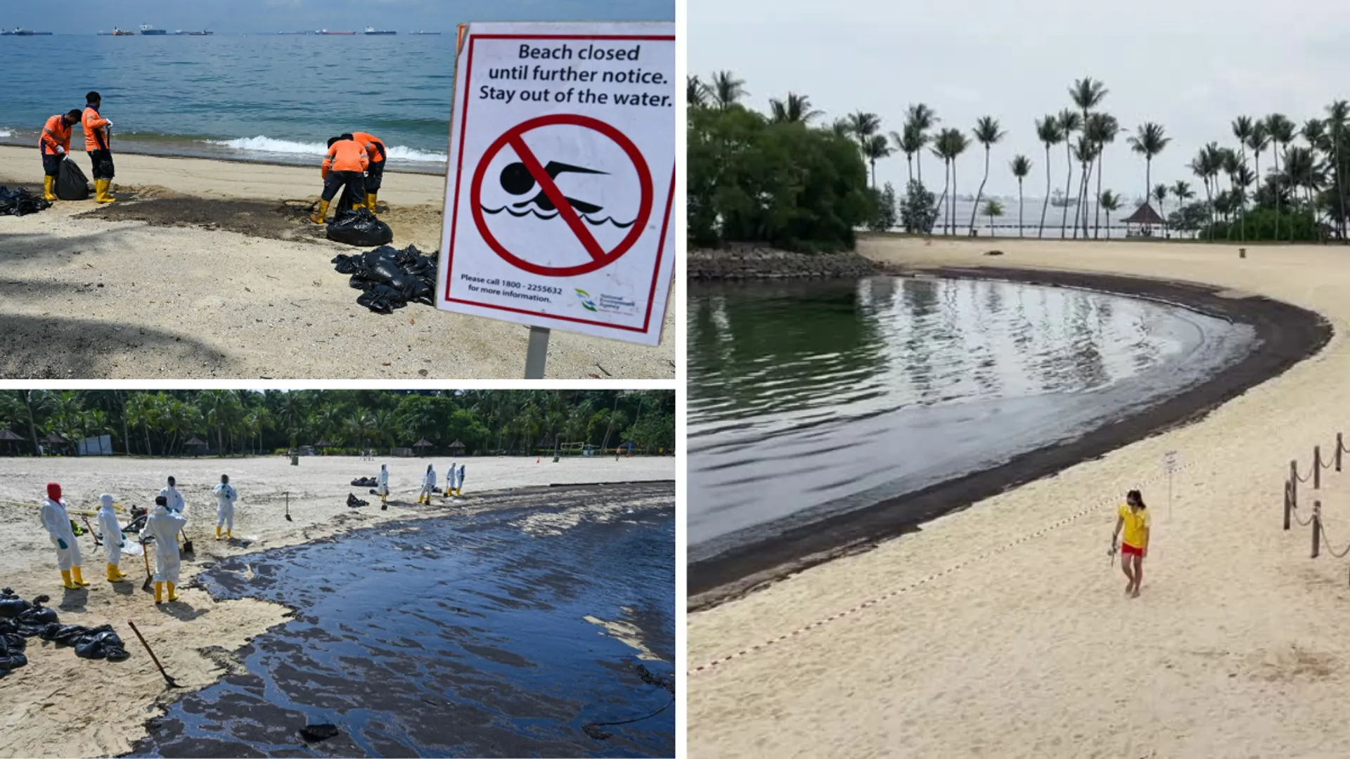 In pics | Singapore intensifies clean up as rare oil spill prompts closure of public beach