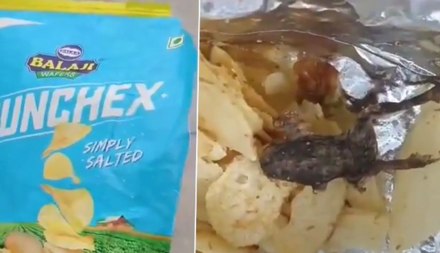 Gujarat resident left shocked after finding fried frog inside packet of wafers, probe launched